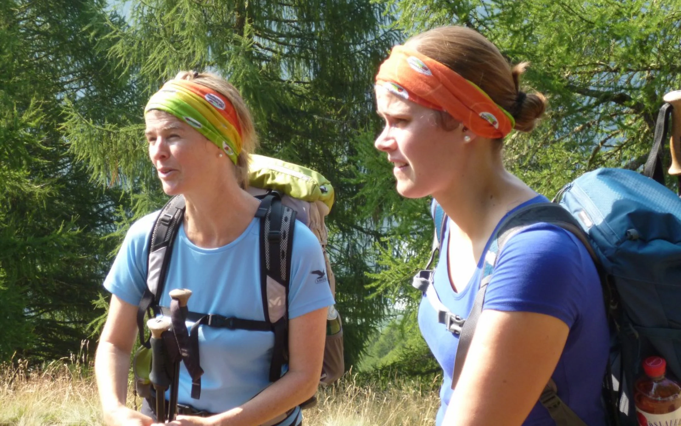 SBO-Vinschgau Sommerwanderung 2015 4_1200x800.JPG